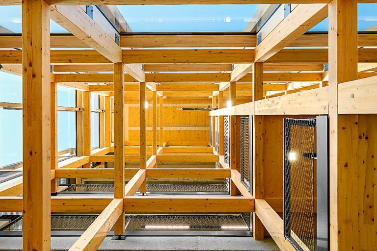 DAV_Hauke Bendt_innen_07_rgb.jpg